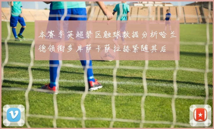 本赛季英超禁区触球数据分析哈兰德领衔多库萨卡萨拉赫紧随其后