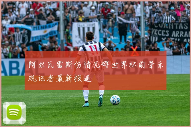 阿尔瓦雷斯伤情无碍世界杯前景乐观记者最新报道