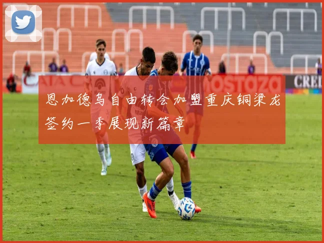 恩加德乌自由转会加盟重庆铜梁龙签约一季展现新篇章
